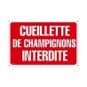 Lot de 5 panneaux Cueillette de champignons interdite aluminium 30 x 20 cm | Ducatillon