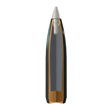 WINCHESTER 30-06 BALLISTIC SILVERTIP 168gr X20
