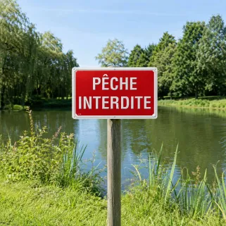 Lot de 5 Panneaux PÊCHE INTERDITE Aluminium 30X20cm 