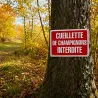 Lot de 10 panneaux Cueillette de champignons interdite Akilux 26 x 20 cm | Ducatillon