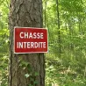 Lot de 10 Panneaux « Chasse interdite » Akilux 26x20cm