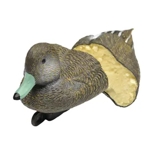 Canard Siffleur moussé avec quille lestéefemelle