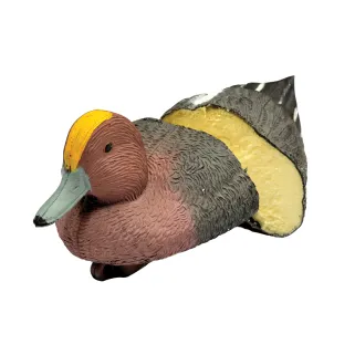 Canard Siffleur moussé avec quille lestée mâle