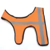 Gilet orange fluo bande réfléchissantes chien Teckel/Terrier