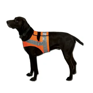 Gilet orange fluo bande réfléchissantes chien Teckel/Terrier