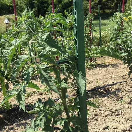 Tuteur plastifié vert 150 cm