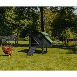 Poulailler sur pieds en plastique recyclé 5 à 9 poules