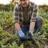Gants travail Sécurité Eco Protect sans latex Norme catégorie II