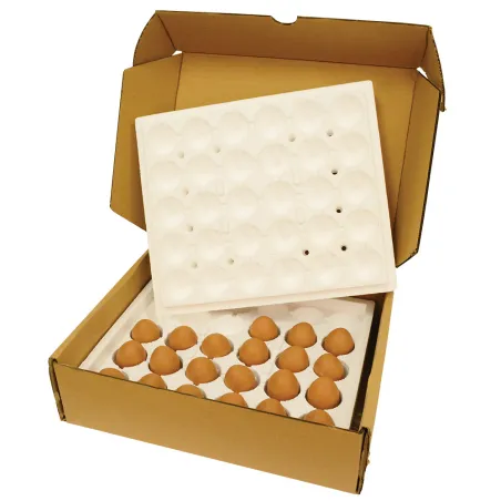 Lot 10 boîtes pour 12 oeufs fécondés prêt à poster