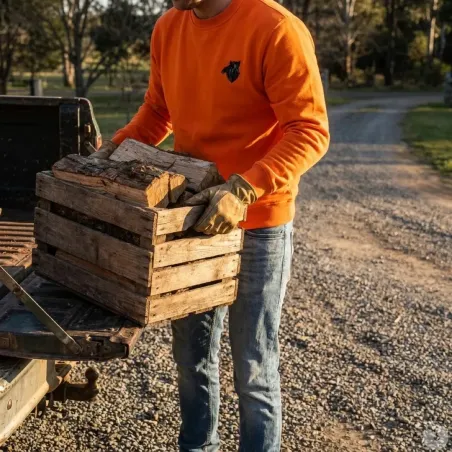 Sweat Orange Sanglier Treeland 100% Polyester Brodé Confortable