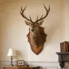 Écusson trophée chevreuil en chêne foncé ciré 52x31 cm | Ducatillon