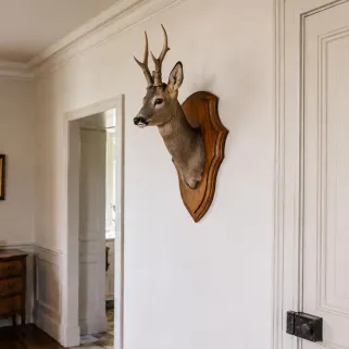 Écusson trophée chevreuil en chêne foncé ciré 44x28 cm | Ducatillon