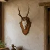 Écusson trophée chevreuil en chêne foncé ciré 32x21 cm | Ducatillon