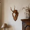 Écusson trophée chevreuil en chêne foncé ciré 26x18 cm | Ducatillon
