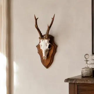Écusson trophée chevreuil en chêne foncé ciré 24x16 cm | Ducatillon