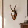 Écusson trophée chevreuil en chêne foncé ciré 24x16 cm | Ducatillon