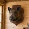Écusson de chasse en chêne foncé ciré 34x28 cm | Fabrication française | Ducatillon