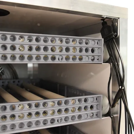 Couveuse Pro Expert Couvitech® 336 œufs