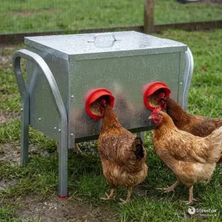 Mangeoire Galvanisée 4 Entrées - Capacité 15 kg pour Élevage Avicole