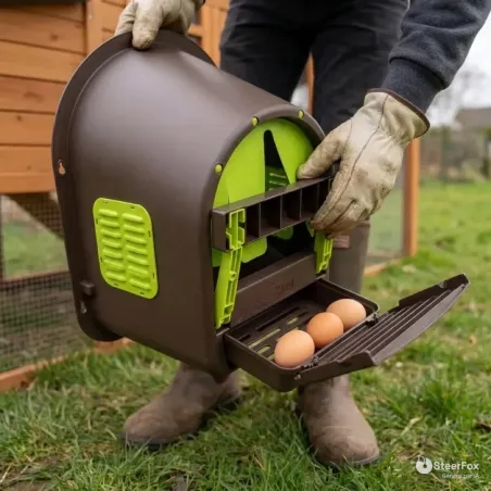 Pondoir Olba MyCozyNest Roll-Away à collecteur | Ducatillon