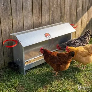 Mangeoire-abreuvoir NOVITAL 10 kg galvanisée | Ducatillon