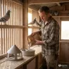 Mangeoire à grit 1,5 L pour pigeons | Ducatillon