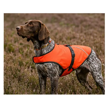 Gilet de protection Somlys Survivor T70 pour chien de chasse