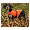 Gilet de protection Somlys Made in Traque T75 pour chien traqueur