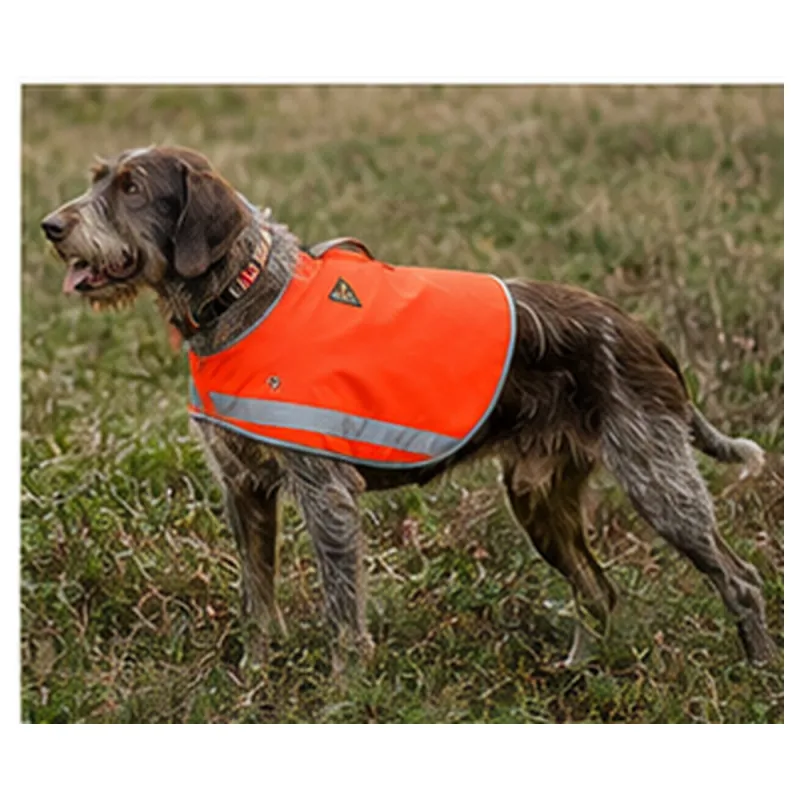Gilet de sécurité Stepland orange fluo XL/2XL pour grand chien