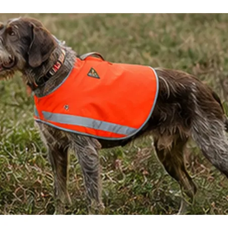 Gilet de sécurité Stepland orange fluo XL/2XL pour grand chien