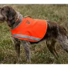 Gilet de sécurité Stepland orange fluo XL/2XL pour grand chien