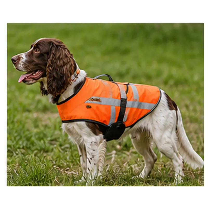 Gilet orange fluo réfléchissant pour chien Épagneul et Springer