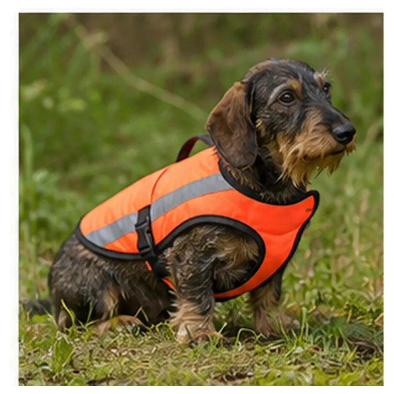 Gilet orange fluo réfléchissant pour chien Teckel et Terrier