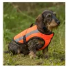 Gilet orange fluo réfléchissant pour chien Teckel et Terrier