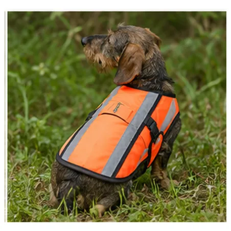 Gilet orange fluo réfléchissant pour chien Teckel et Terrier