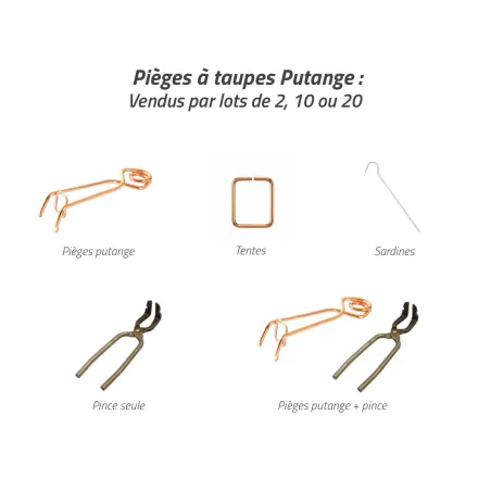 Pince de pose pour piège à taupe Putange | Ducatillon
