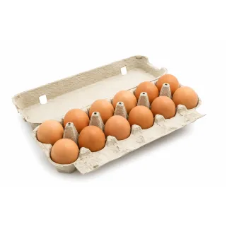 Lot 124 boites à oeufs de 12 oeufs en carton
