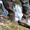 Chaussures Outdoor Black Eagle GTX Marron - Confort et Résistance