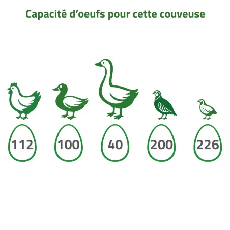 Couveuse Couvitech Pro Expert 112 œufs automatique
