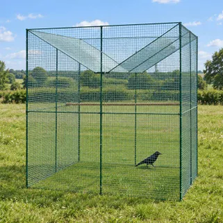 Parc à corbeaux facile à installer acier galvanisé 2x2x2m