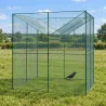 Parc à corbeaux facile à installer acier galvanisé 2x2x2m