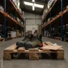 Chaussures de sécurité Colorado S7S Solidur | Ducatillon
