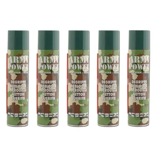 Lot de 5 sprays d’entretien sans silicone, 300 ml chacun