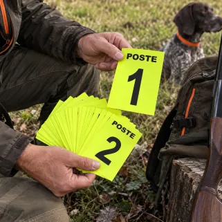 Jeu de 27 cartes de poste jaunes pour chasse en battue