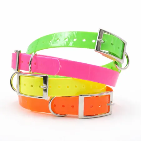 Collier chien fluo BIOGOLD taille standard 4 couleurs