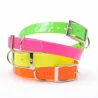 Collier chien fluo BIOGOLD taille standard 4 couleurs