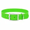 Collier chien fluo BIOGOLD taille standard 4 couleurs
