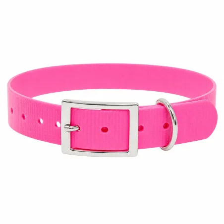 Collier chien fluo BIOGOLD taille standard 4 couleurs