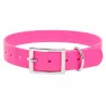 Collier chien fluo BIOGOLD taille standard 4 couleurs