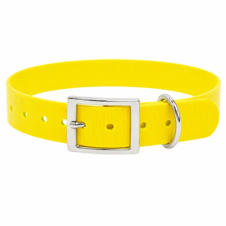 Collier chien fluo BIOGOLD taille standard 4 couleurs